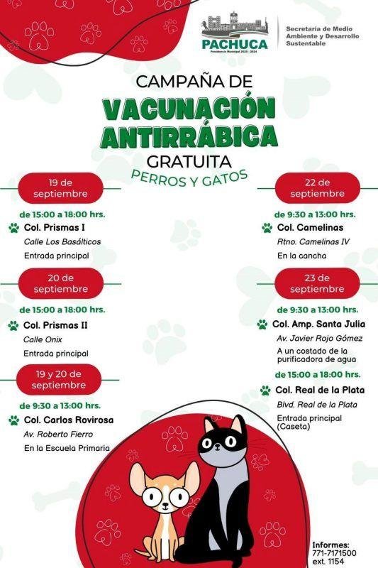 Habrá vacunación antirrábica gratuita para peluditos en colonias de Pachuca