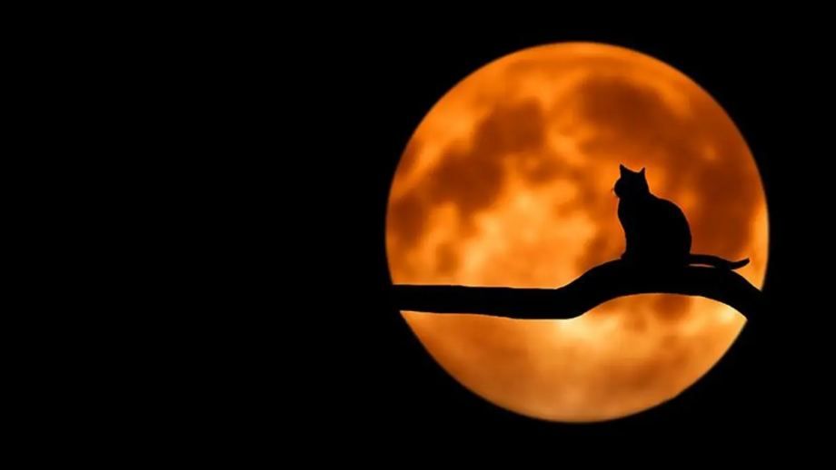 Aquí viene la Luna de Sangre, no te la pierdas