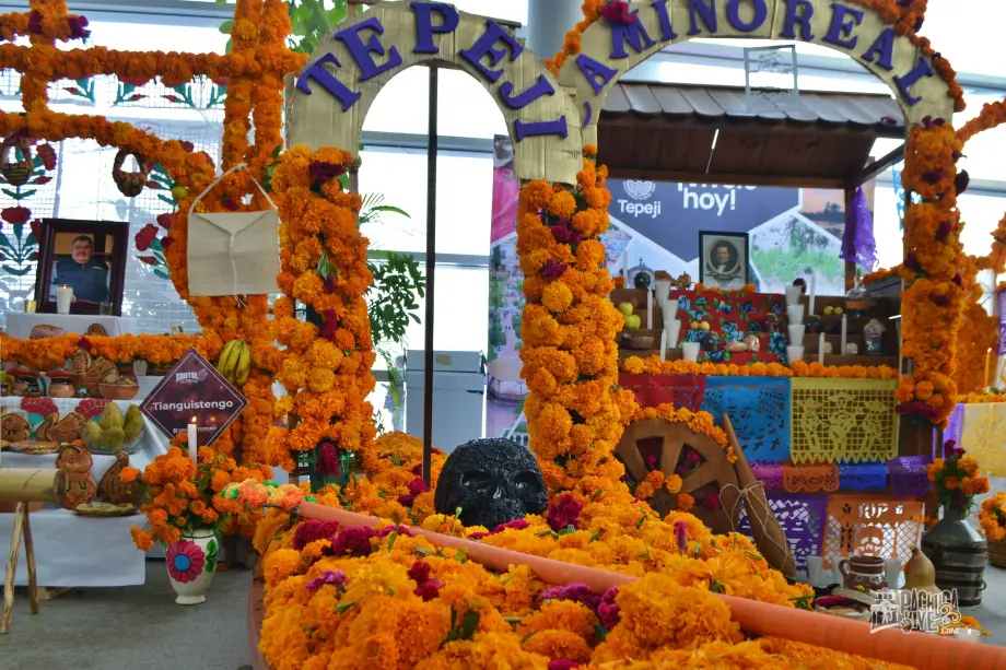Llegó el Xantolo 2022; así se presentó en Pachuca esta bella tradición hidalguense (fotos y video)