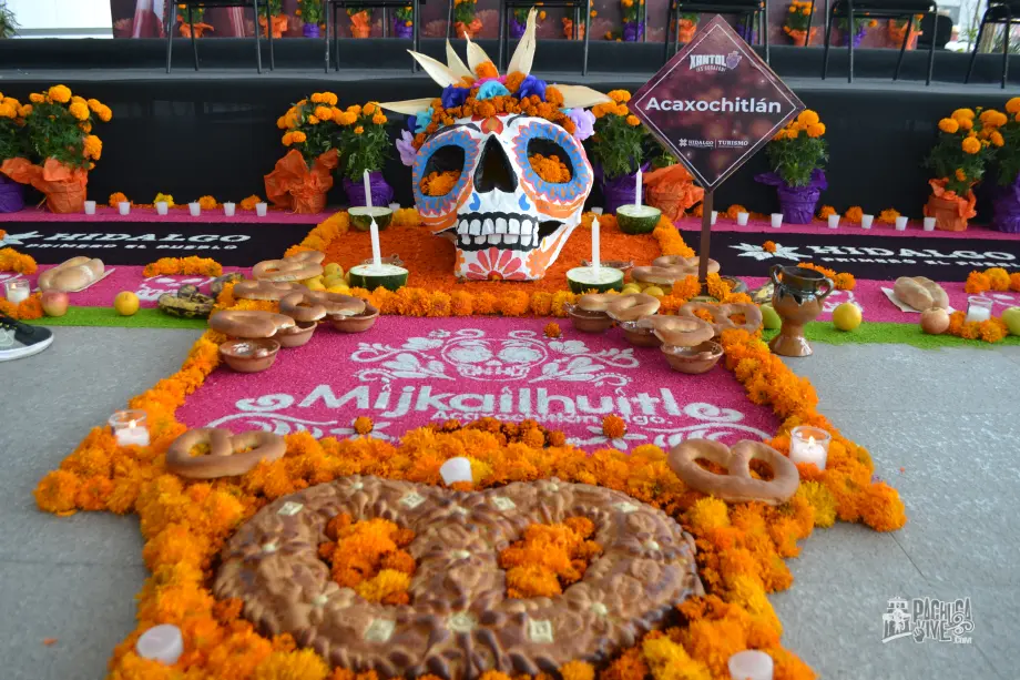Llegó el Xantolo 2022; así se presentó en Pachuca esta bella tradición hidalguense (fotos y video)