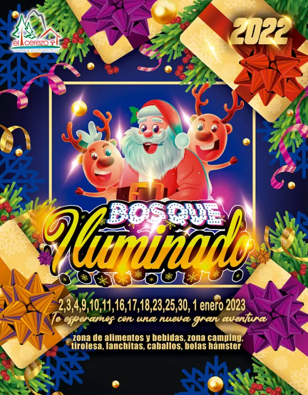 Bosque Iluminado Hidalgo 2022: fechas, detalles y precios
