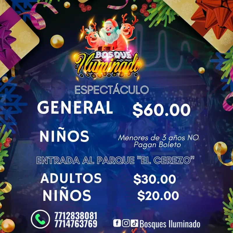 Bosque Iluminado Hidalgo 2022: fechas, detalles y precios