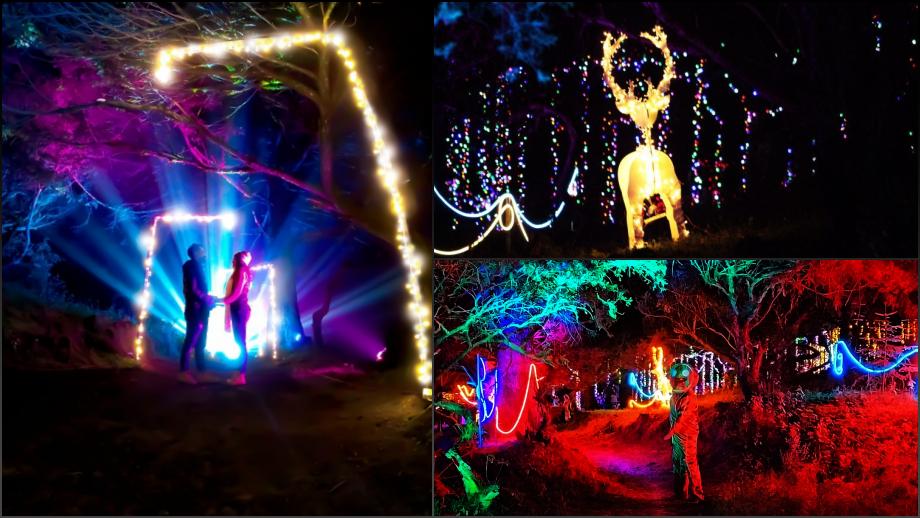 Bosque Iluminado Hidalgo 2022: fechas, detalles y precios