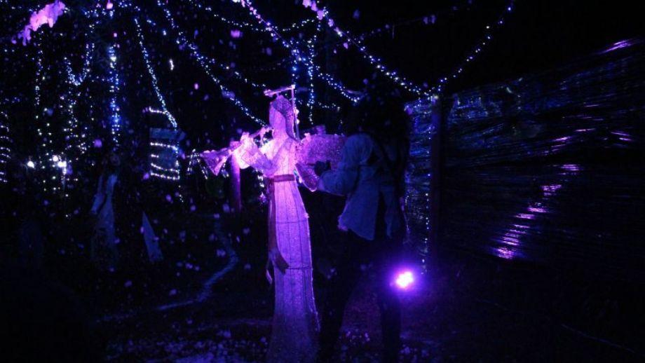 Adiós Día de Muertos, hola Navidad... preparan bosque iluminado cerca de Pachuca