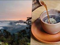 Realizarán festival de café en la bella región Otomí-Tepehua de Hidalgo