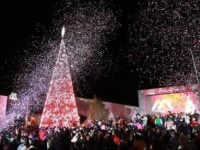 Anuncian encendido de árbol y cuento navideño en Mineral de la Reforma
