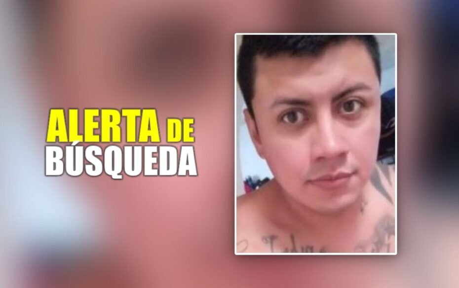 Es de Mineral de la Reforma y lleva 20 días desaparecido, piden ayuda para encontrarlo