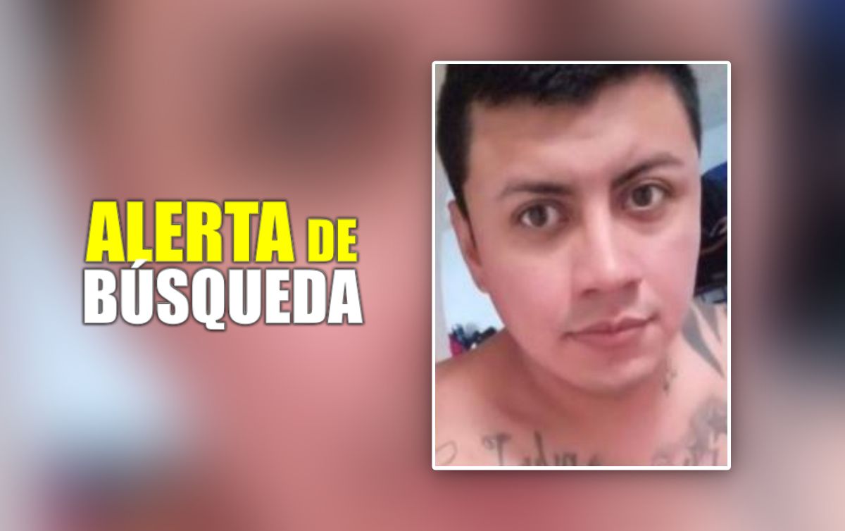 Es de Mineral de la Reforma y lleva 20 días desaparecido, piden ayuda para encontrarlo