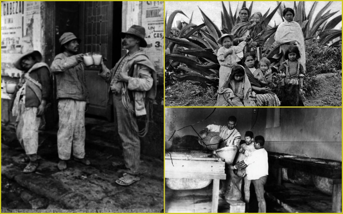 Fotos antiguas de la bebida de los dioses para celebrar el Día del Pulque