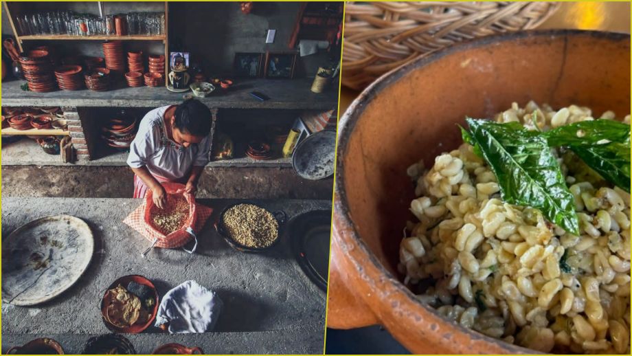 2° Festival del Escamol en Hidalgo, en la cocina tradicional Hñähñu