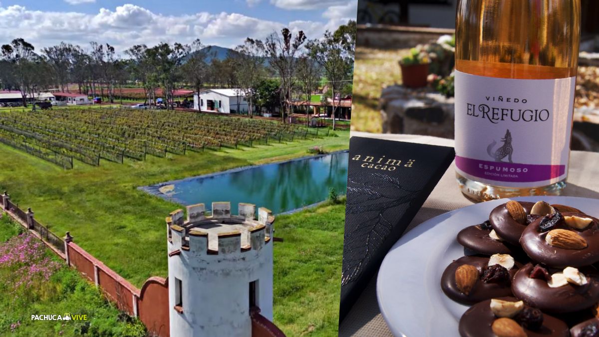 Celebra San Valentín con un atardecer romántico en el primer viñedo de Hidalgo