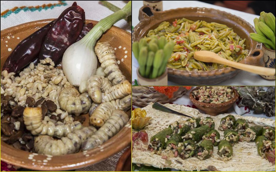 #Festival 😋 Muestra Gastronómica 2023 de Santiago de Anaya, este fin de semana
