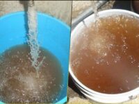 #Ojo 💧 Agua turbia en viviendas es por falta de lavado de tinacos, asegura CAASIM