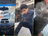 Atacan a activistas que resguardaron a un perrito en Paseos de Chavarría | VIDEO