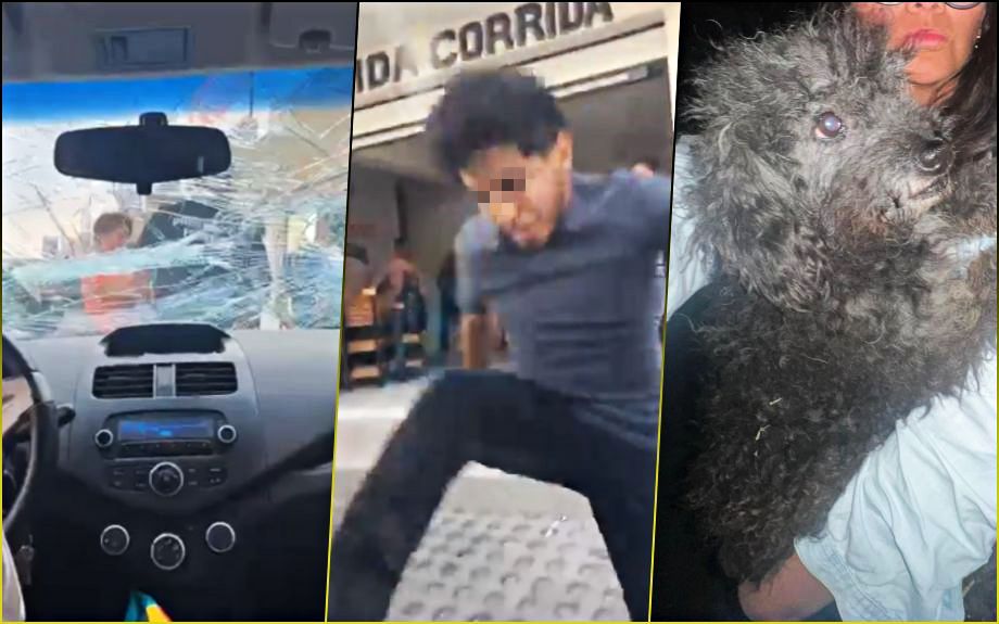 Atacan a activistas que resguardaron a un perrito en Paseos de Chavarría | VIDEO