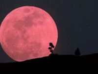 #Espectáculo 🌕 Este jueves se podrá ver la Luna Rosa, el gran evento astronómico de abril