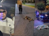 Vinculan a proceso y dan prisión preventiva a guardia que arrastró y asfixió a un perrito en Pachuca