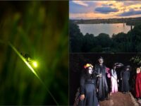 Luciérnagas y leyendas, la experiencia nocturna que puedes vivir en Huasca de Ocampo