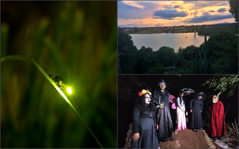 Luciérnagas y leyendas, la experiencia nocturna que puedes vivir en Huasca de Ocampo