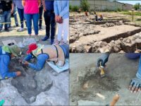 Descubren tesoro prehispánico en Tula, justo donde se construye un Walmart