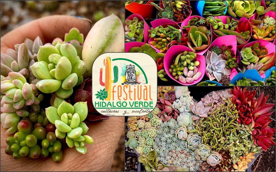 Ya viene Hidalgo Verde, el festival de las cactáceas y suculentas en Pachuca