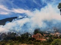Incendio ha arrasado con 80 hectáreas de flora y fauna silvestre en Parque Nacional de Hidalgo