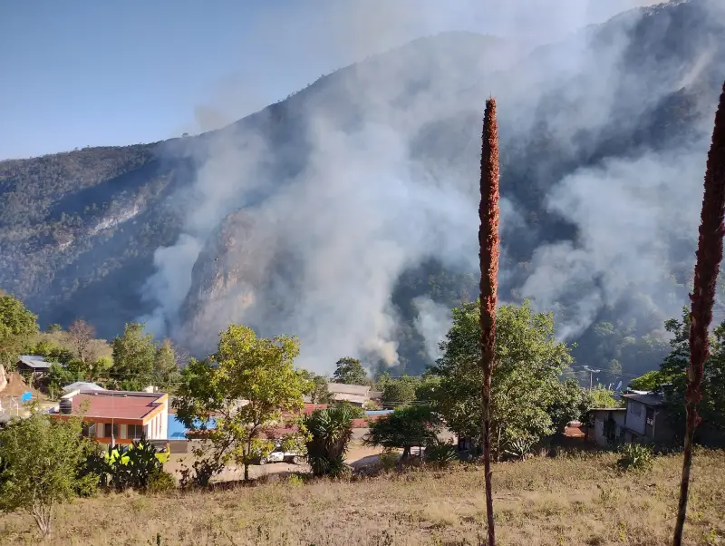Incendio ha arrasado con 80 hectáreas de flora y fauna silvestre en Parque Nacional de Hidalgo 4 Incendio ha arrasado con 80 hectáreas de flora y fauna silvestre en Parque Nacional de Hidalgo