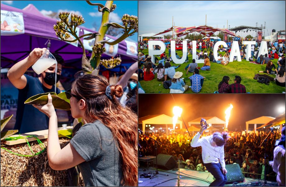 Pulcata Fest Hidalgo 2023: el más grande festival de pulque del país