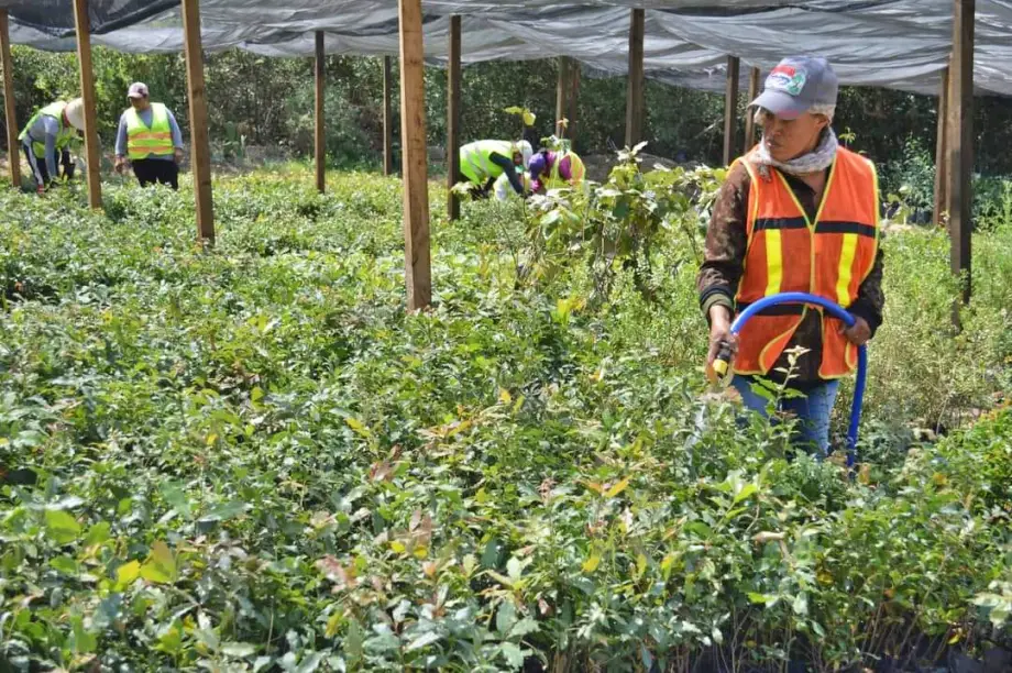 Ya hay fecha de apertura de la nueva carretera Real del Monte - Entronque Huasca