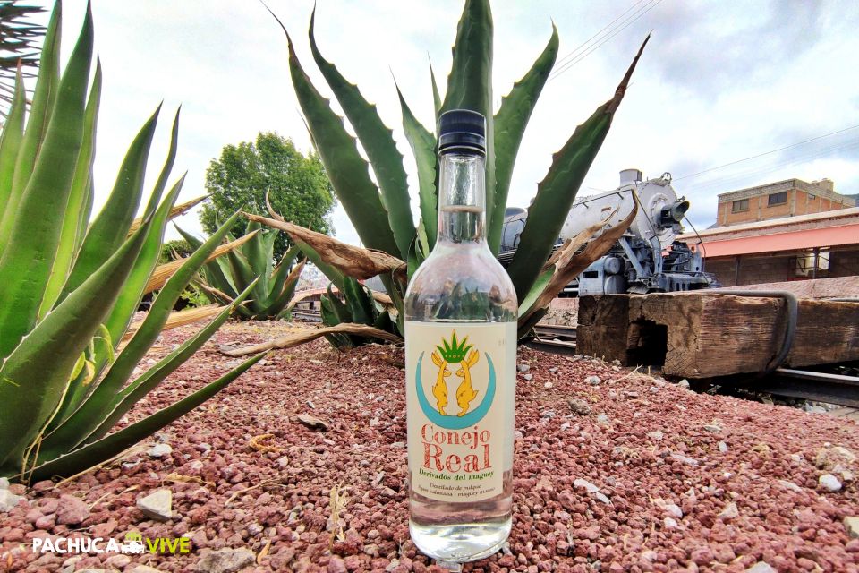 Destiladores hidalguenses están reinventando el PULQUE y lo podrás descubrir en este evento