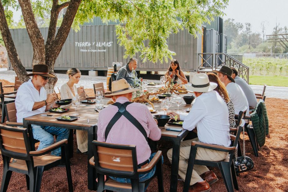 Un nuevo viñedo de Hidalgo abre sus puertas este 13 de julio: Tierra y Almas | VIDEO