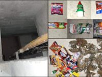 #Asegurados 🚨 Usaban túnel en Hidalgo para resguardar dulces 'mágicos'