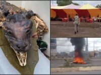 Vendían barbacoa de perro en Tizayuca: clausura del puesto genera protestas y caos