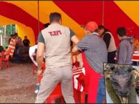 #Video: Así fue el desalojo del puesto de supuesta barbacoa de perro en Tizayuca