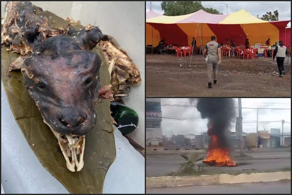 Vendían barbacoa de perro en Tizayuca: clausura del puesto genera protestas y caos