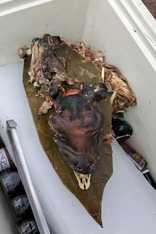 Vendían barbacoa de perro en Tizayuca: clausura del puesto genera protestas y caos