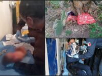 Bajo una nopalera y llena de hormigas, así encontraron y rescataron a una bebé en Mineral de la Reforma