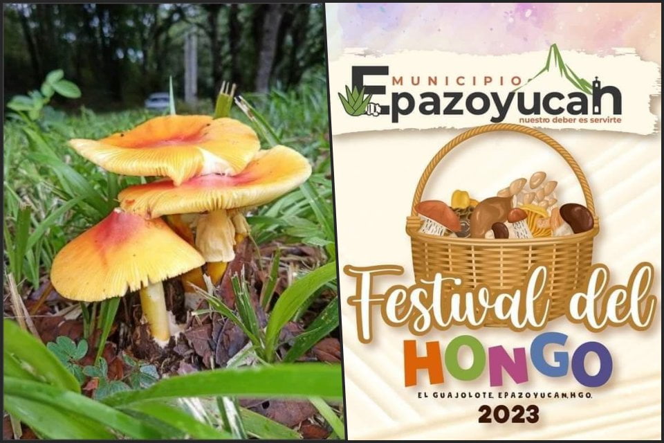Vive el Festival del Hongo 2023, en Epazoyucan