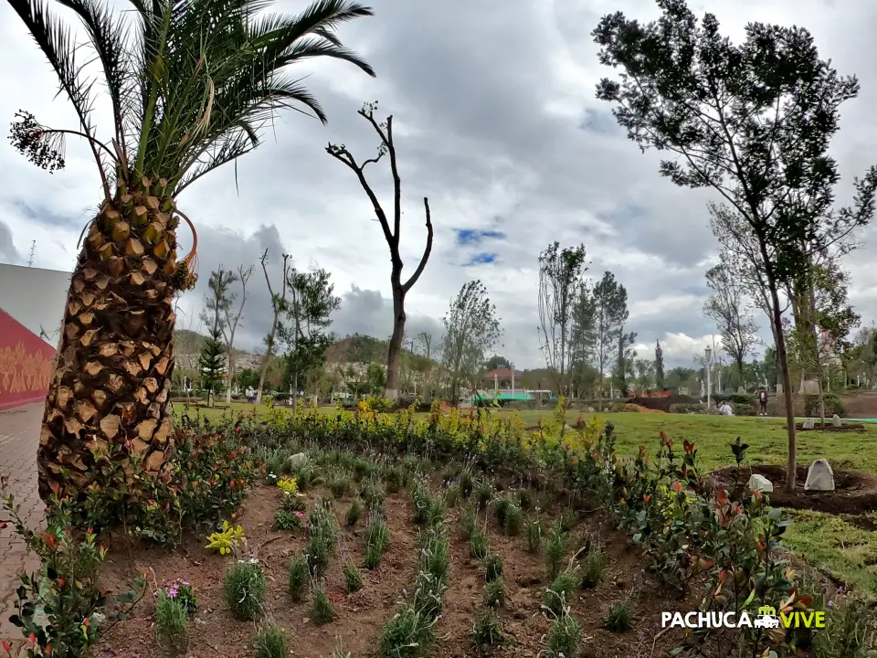 #Galería 🌳 Comienza a llenarse otra vez de vida y color el Jardín de los Hombres Ilustres de Pachuca