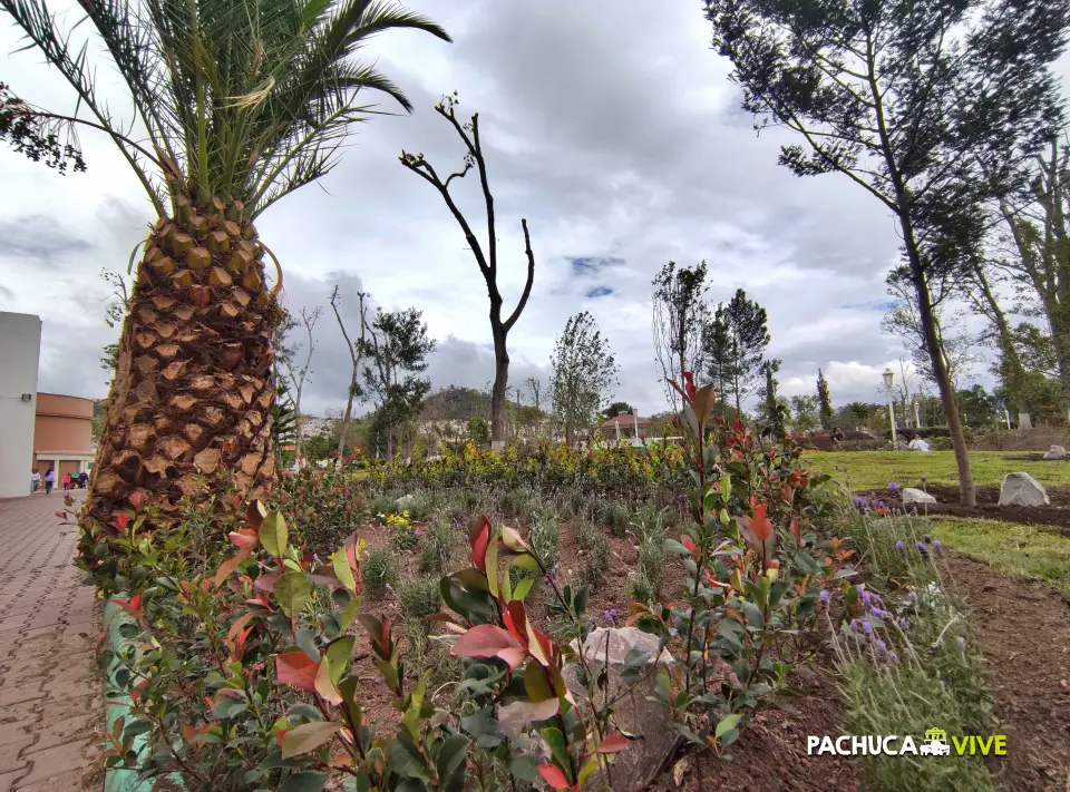 #Galería 🌳 Comienza a llenarse otra vez de vida y color el Jardín de los Hombres Ilustres de Pachuca