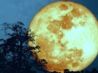 #Imperdible 🌕 Llega la Superluna de Esturión, el primer espectáculo astronómico de agosto