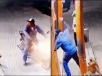 #MaltratoAnimal 🤬 Motociclista ataca a un perrito con un tabique solo porque le ladró; ocurrió en Hidalgo
