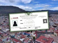 #Aprobada 🪪 Tendremos nueva CURP con fotografía; así será