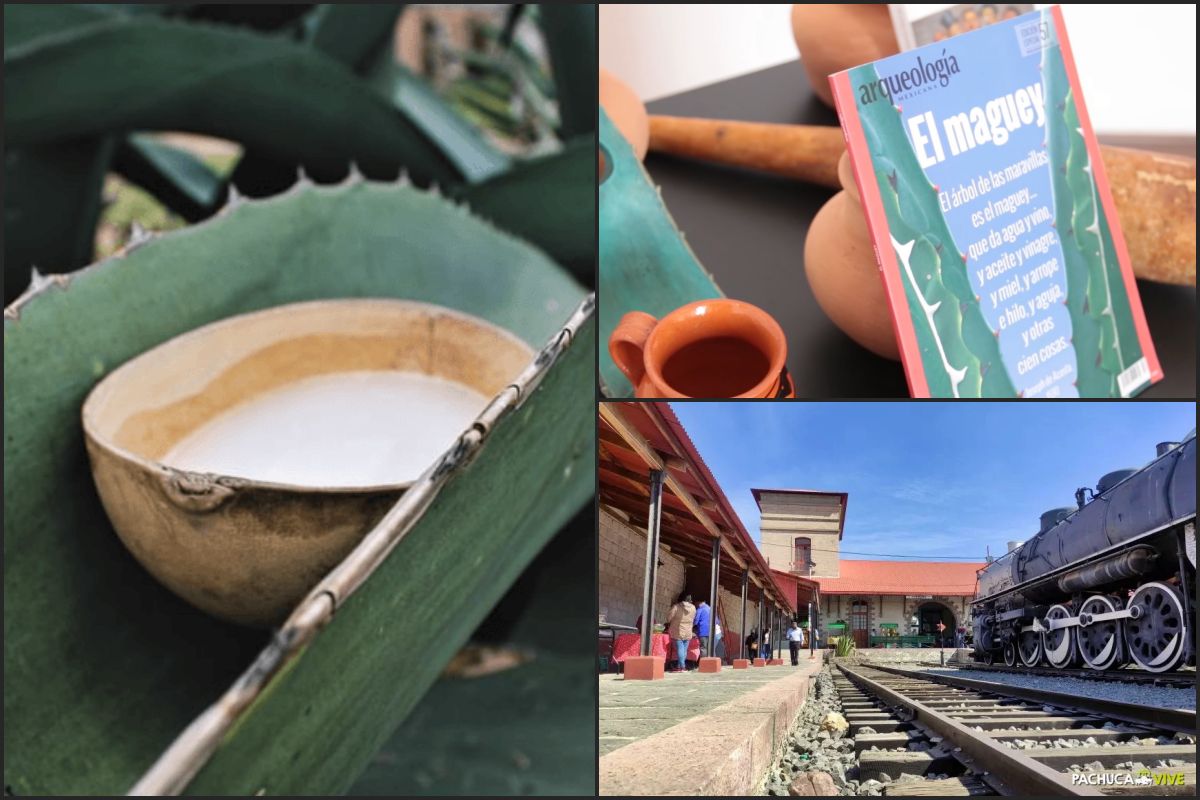 #Video 🥛 La Ruta del Pulque, exposición en Pachuca de la bebida de los dioses