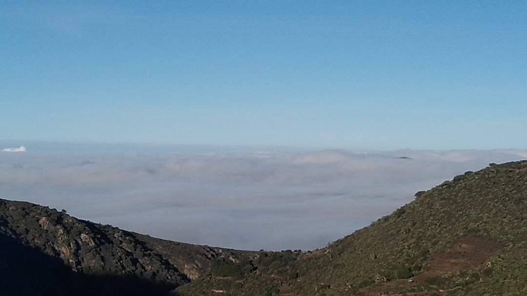 #EnFotos ☁️ La neblina envuelve a Pachuca esta gélida mañana de martes