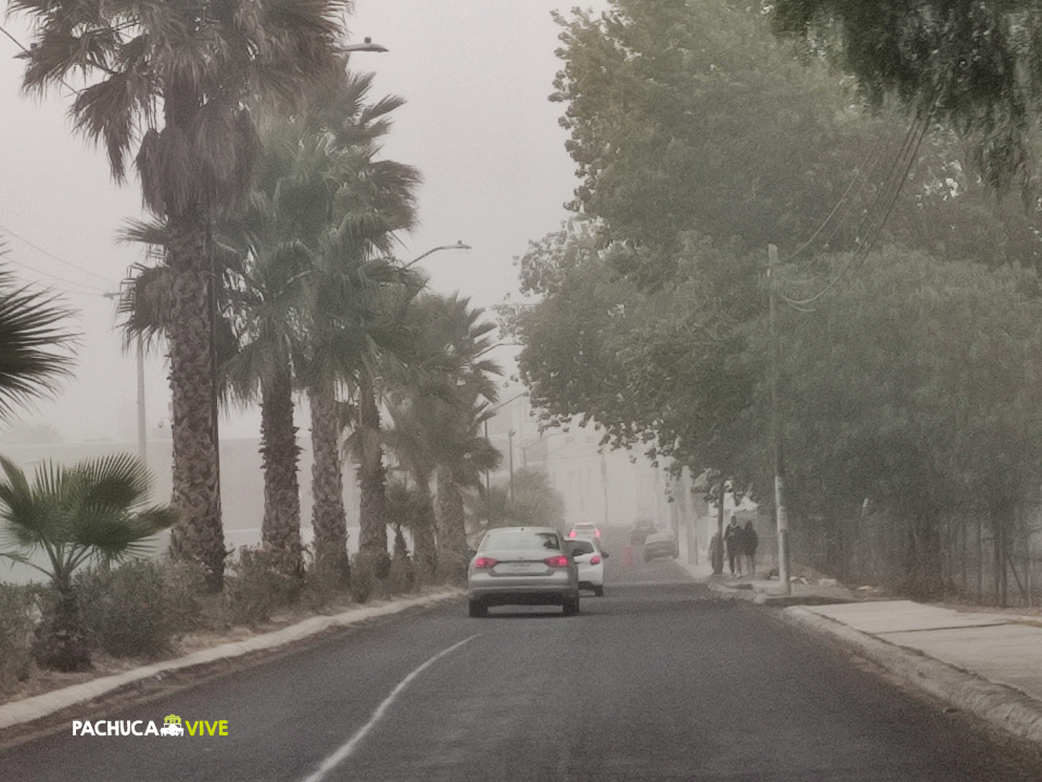 #EnFotos ☁️ La neblina envuelve a Pachuca esta gélida mañana de martes