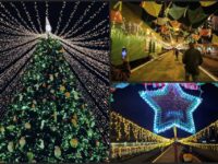 Invitan a encendido del Árbol de Navidad y convivio en Pachuca