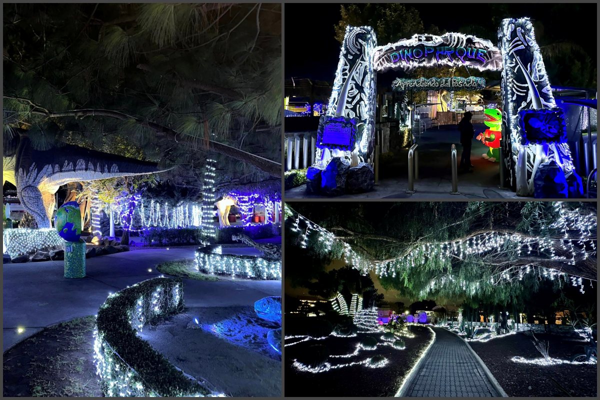#Galería: Dinoparque iluminado, los dinosaurios se pusieron navideños en Pachuca