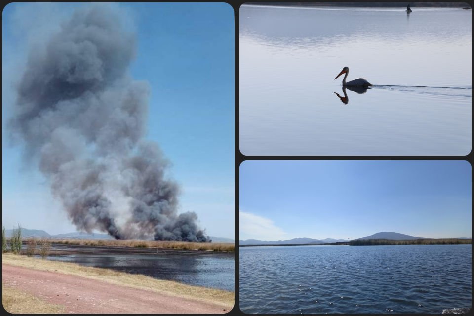 Quema de tule daña a la laguna de Tecocomulco, nuestro patrimonio ecológico de la humanidad