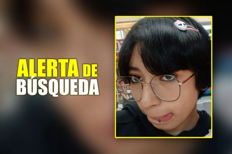 Renata desapareció en Mineral de la Reforma; piden ayuda para localizarla